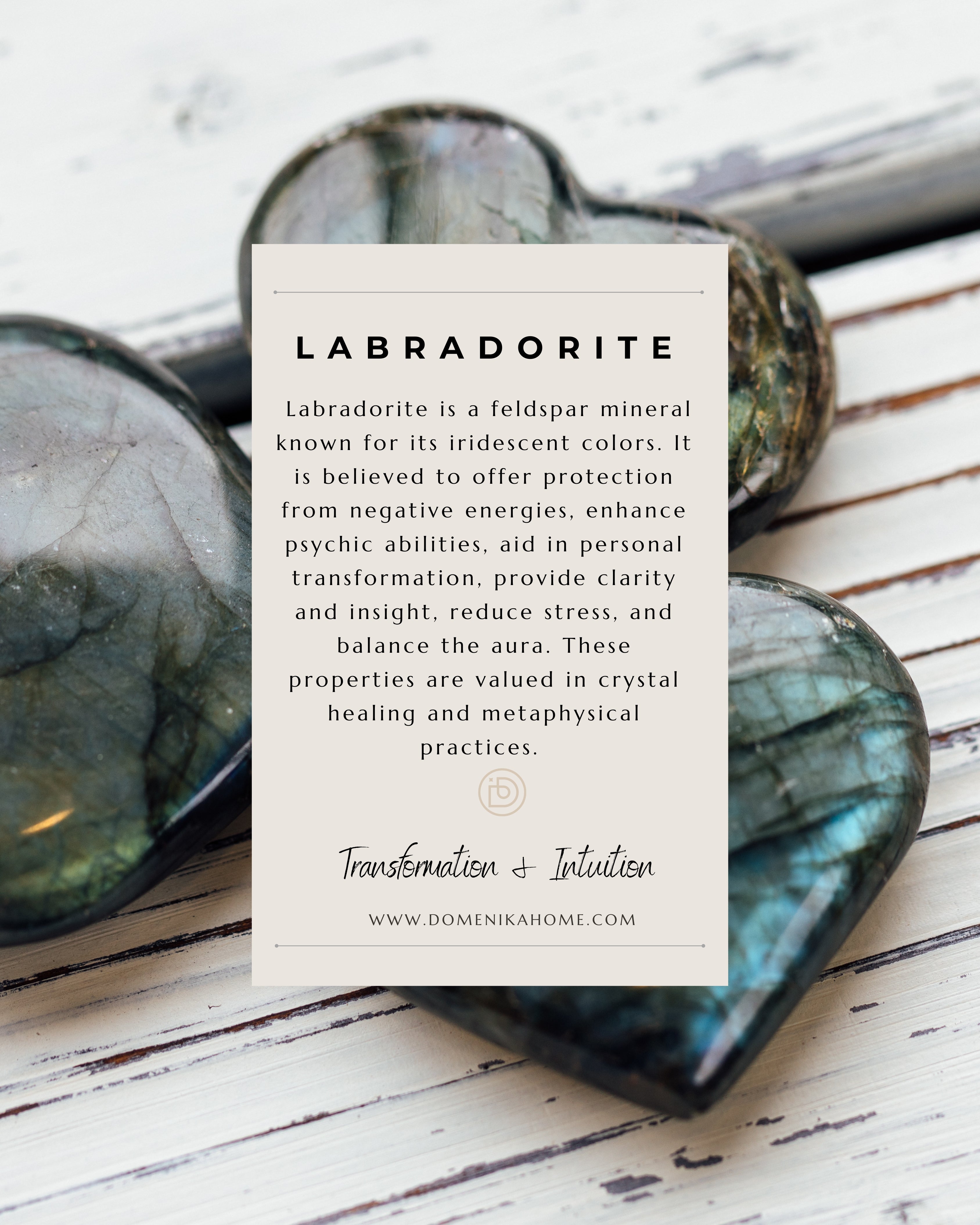 Labradorite Turtle