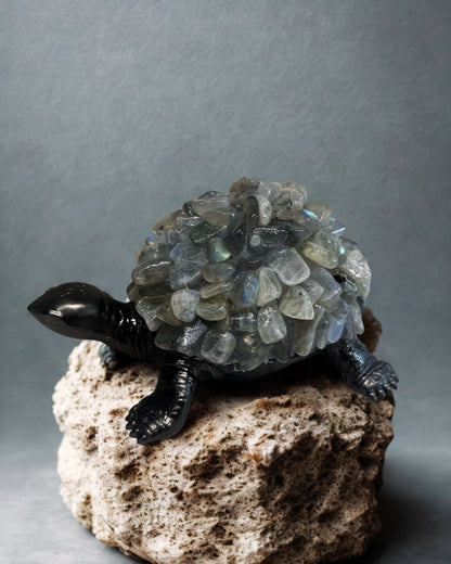 Labradorite Turtle