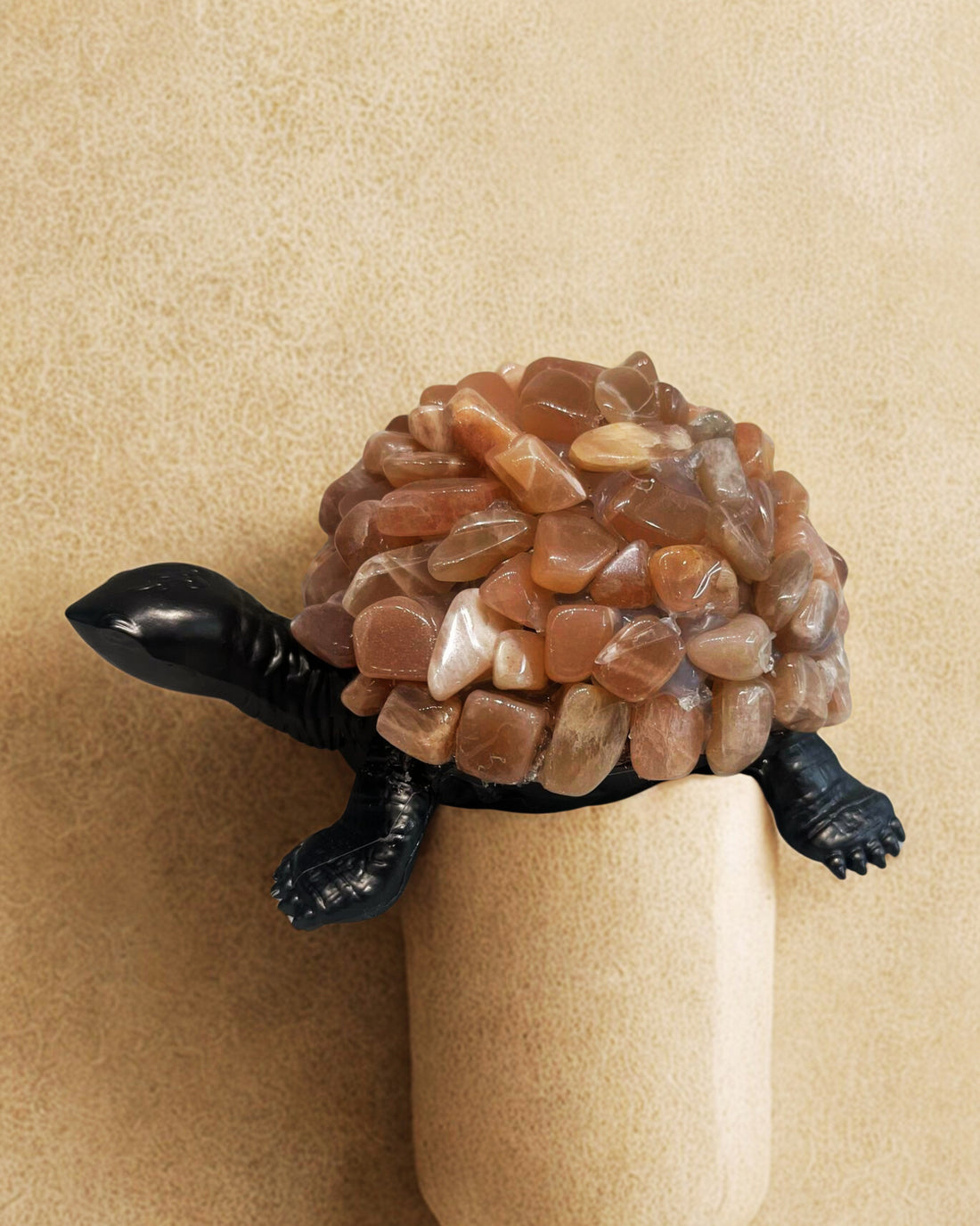 Sunstone Turtle
