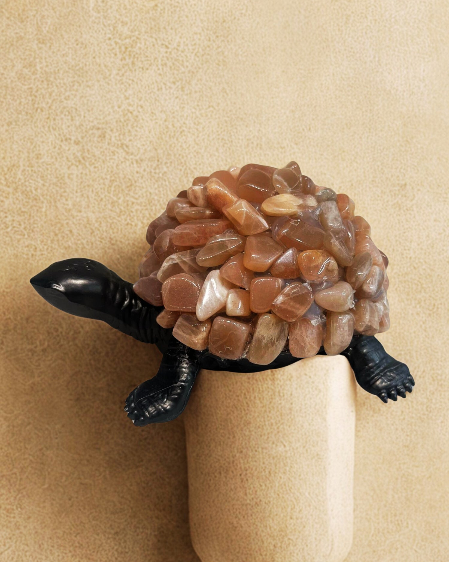 Sunstone Turtle