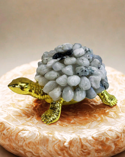 Moonstone Turtle