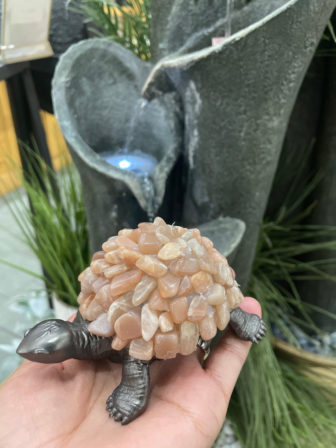 Sunstone Turtle